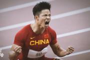 电子竞技app平台官方-苏炳添关键时刻救险，曼联力保胜局拿下系列赛