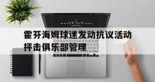 IM电竞app新人注册-霍芬海姆球迷发动抗议活动抨击俱乐部管理